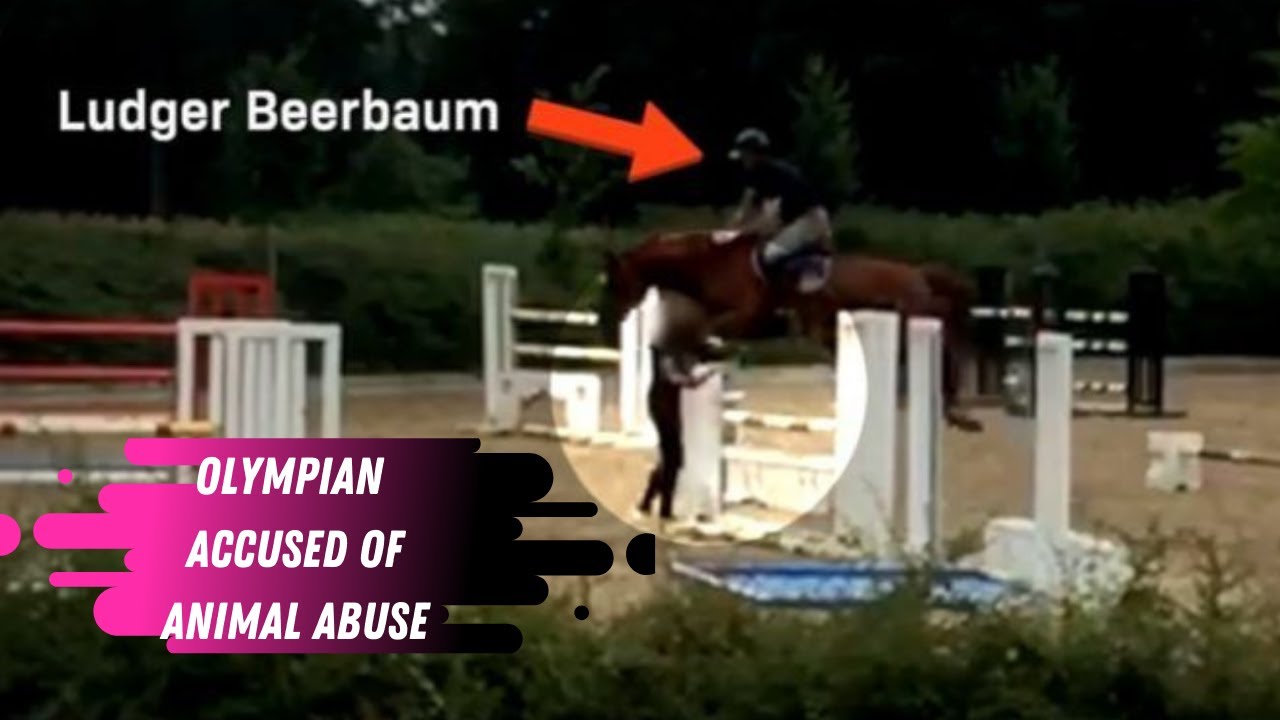 Animal Abuse Allegations For Ludger Beerbaum German Olympic Show Jumper & Helgstrand Partner
