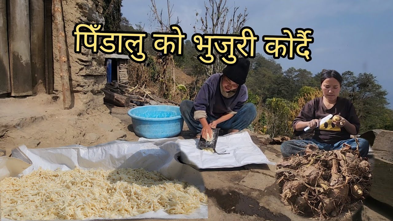 आर्गानिक तरकारिको जुगर्ड गर्दै गाउले जीवन 