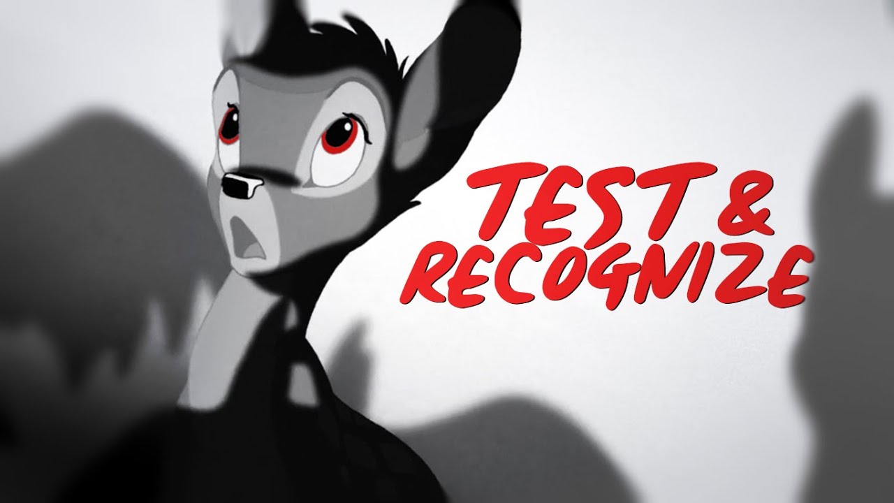 Test & Recognize [48hr mep]