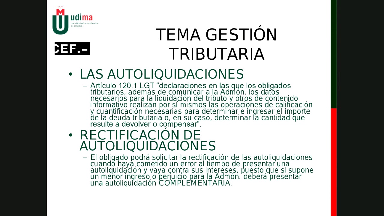 PROCEDIMIENTO GESTION