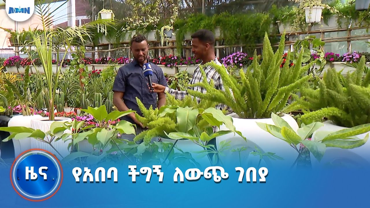 የአበባ ችግኝ ለውጭ ገበያ