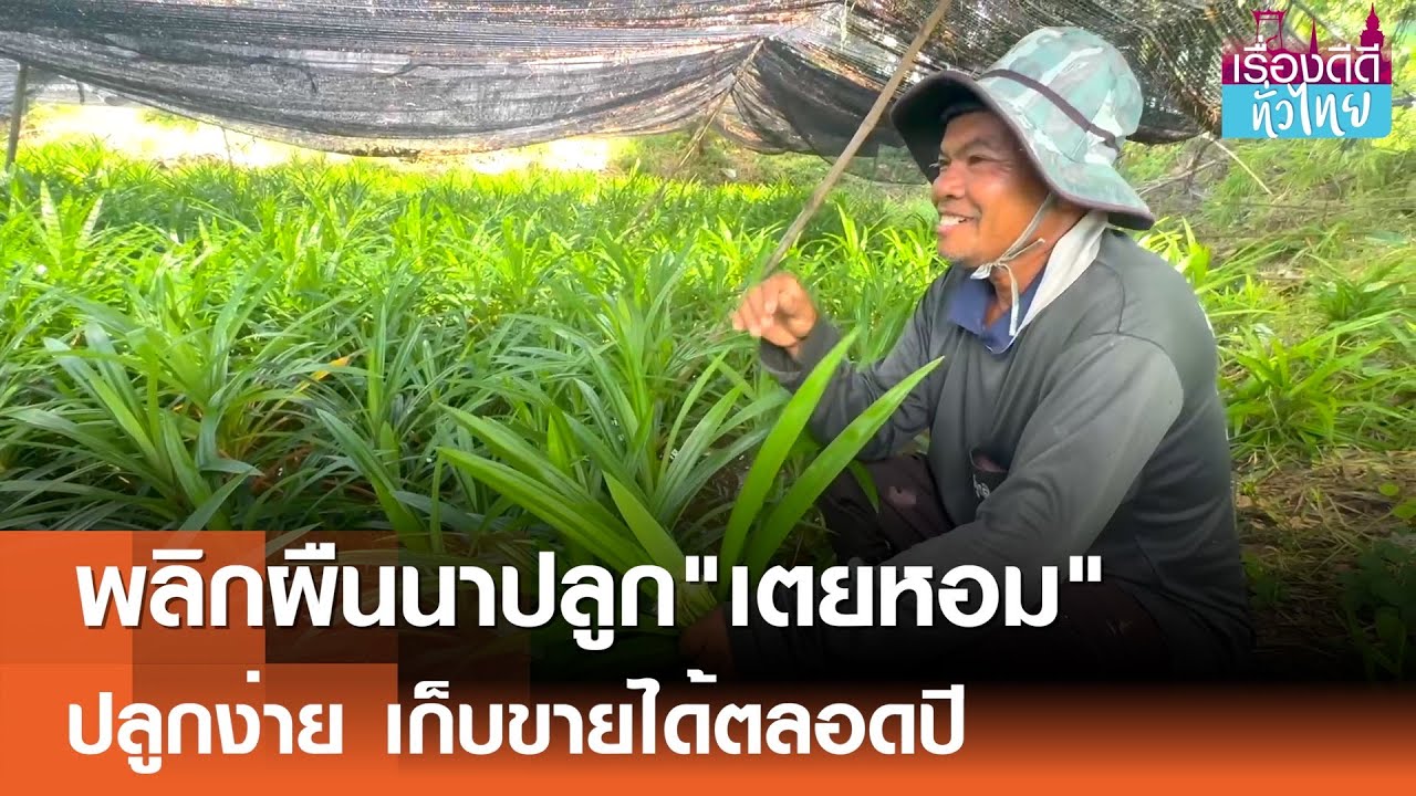 พลิกผืนนาปลูก