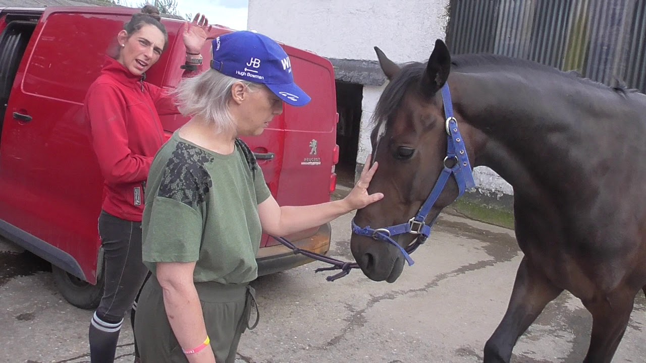 Our Visit to Killegar Stables Co Wicklow, Thurs 29th Aug 2019, video 2