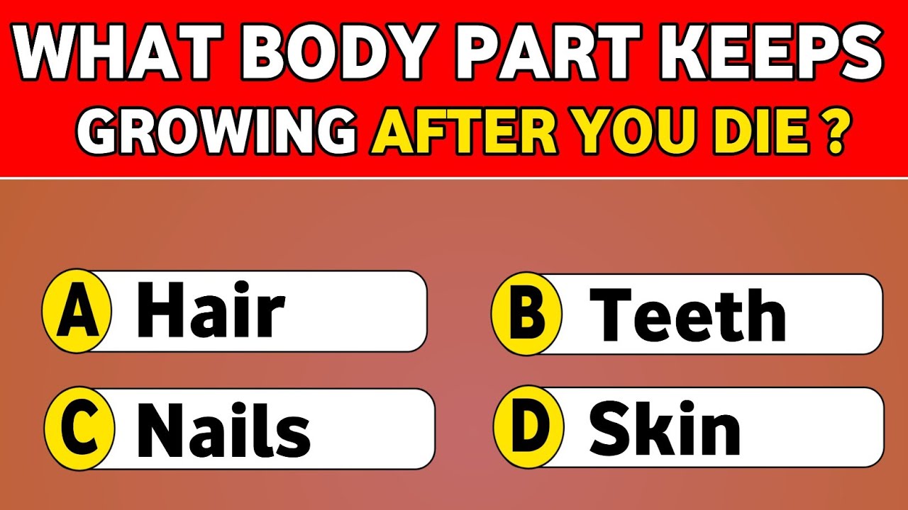 Your IQ Is Above Average If You Get 20+ Right 🧠 50 General Knowledge Questions! 📖 | Wisdom Note 