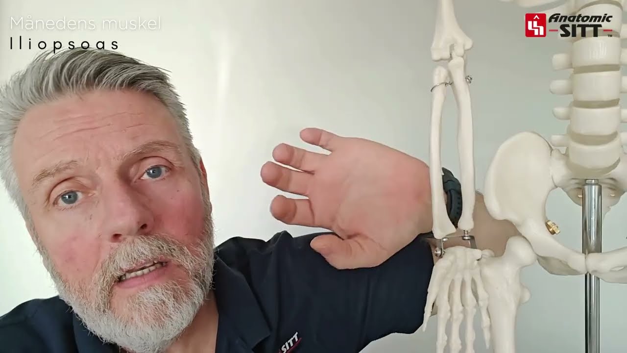 Månedens muskel er Iliopsoas