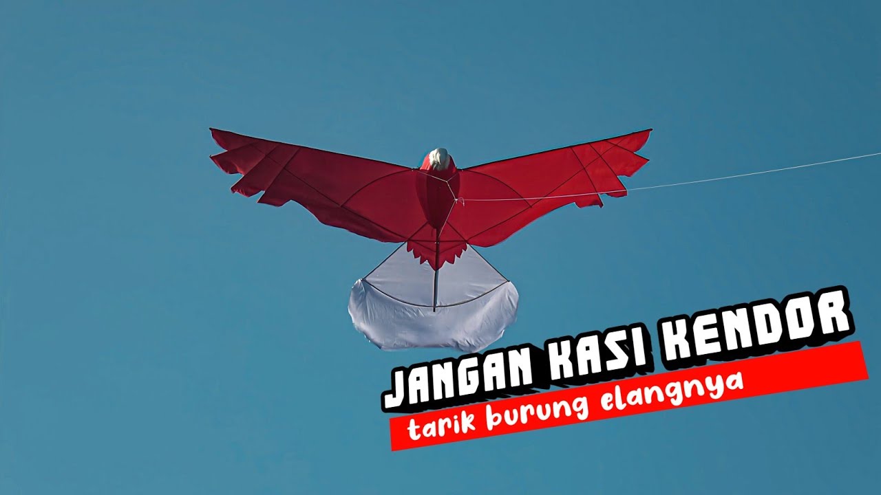 BEGINI ANGIN PANTAI❓ Uji Terbang Layang - Layang Burung Elang 320 cc SPESIAL BULAN MERDEKA 🇮🇩