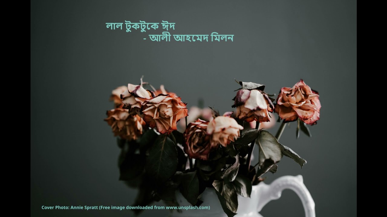 লাল টুকটুকে ঈদ - আলী আহমেদ মিলন