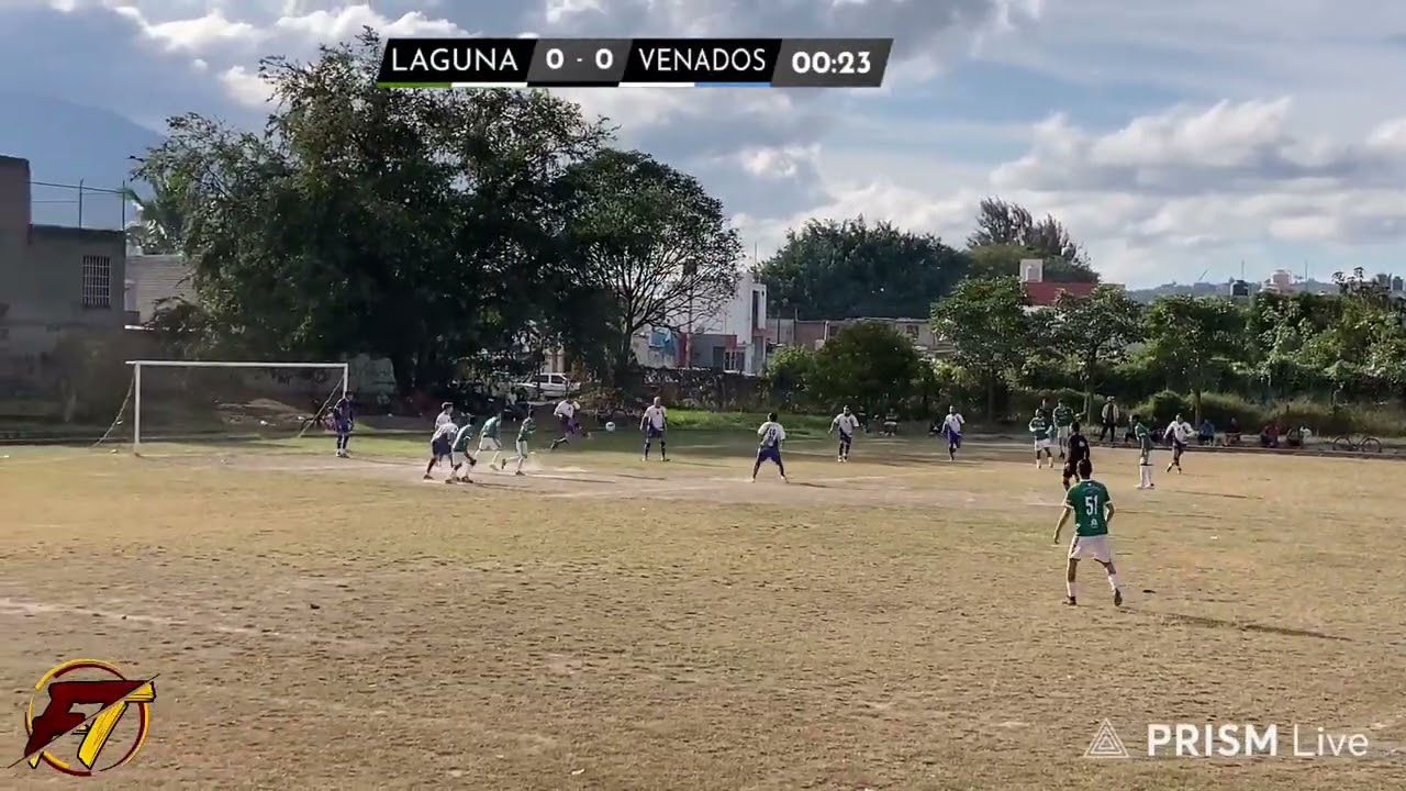 Laguna vd Venados Reforma 1era División Amateur 