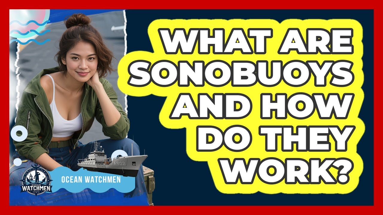 What Are Sonobuoys And How Do They Work? - Ocean Watchmen