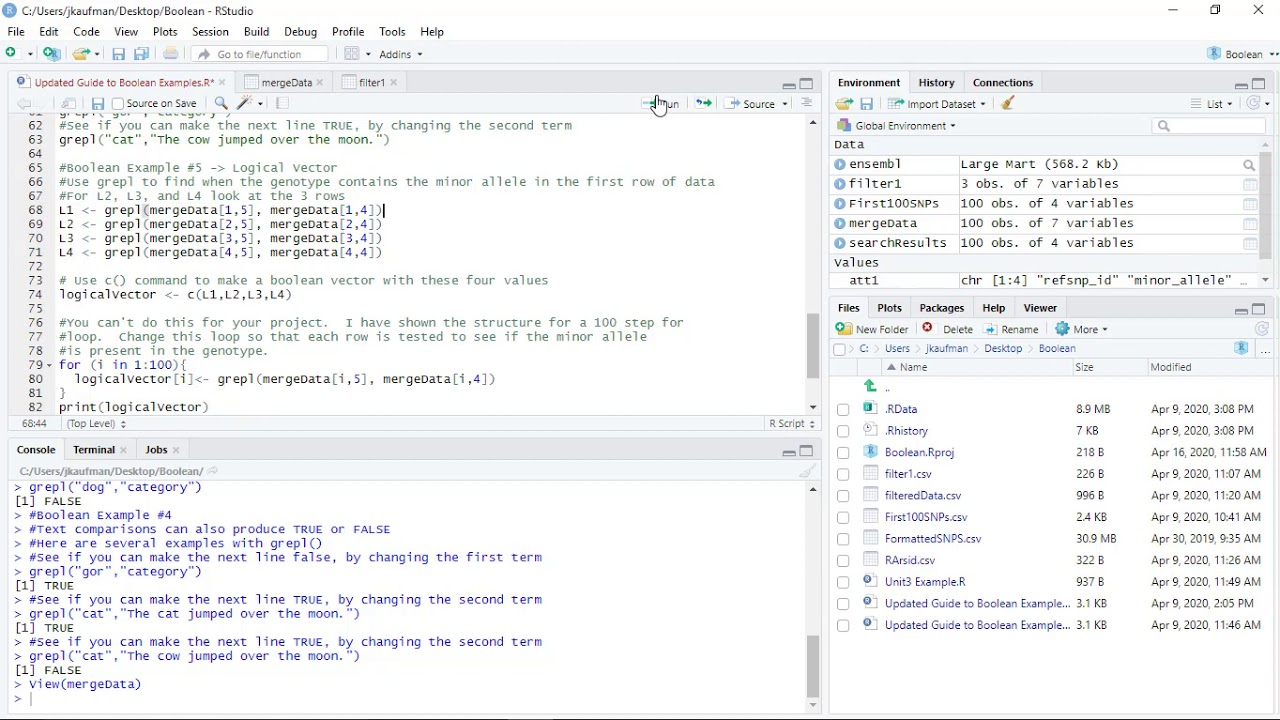 Boolean Filters in R