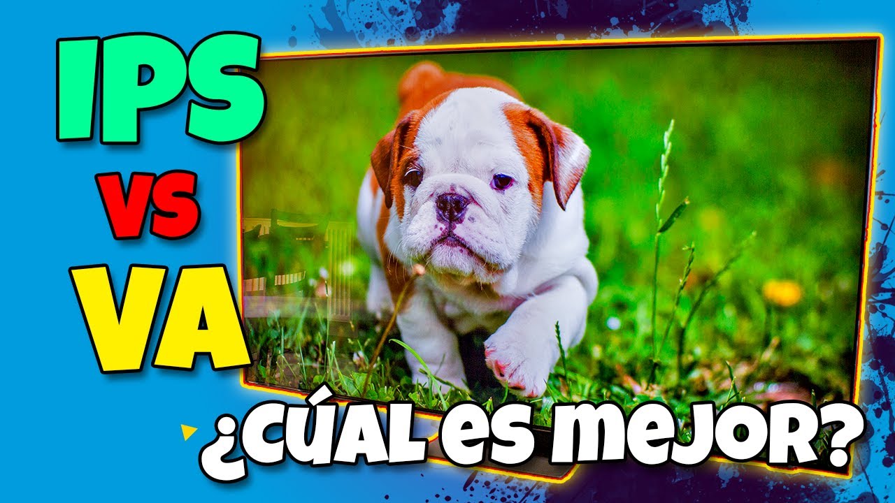 Panel IPS o VA &iquest;Cu&aacute;l es el MEJOR PARA TELEVISORES?