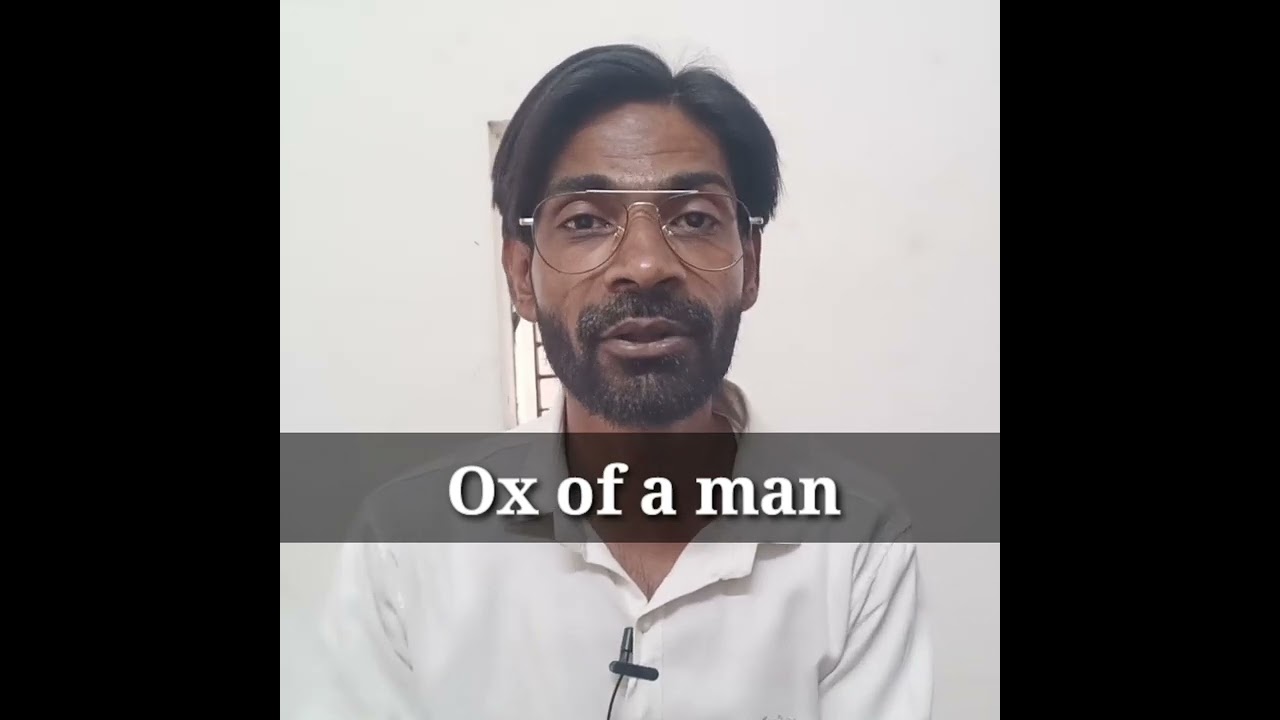 Idioms and Phrases | explained in Hindi | Used in Sentences | Z Mohammadi