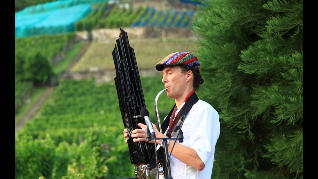 chinese sheng and organ - live open air 