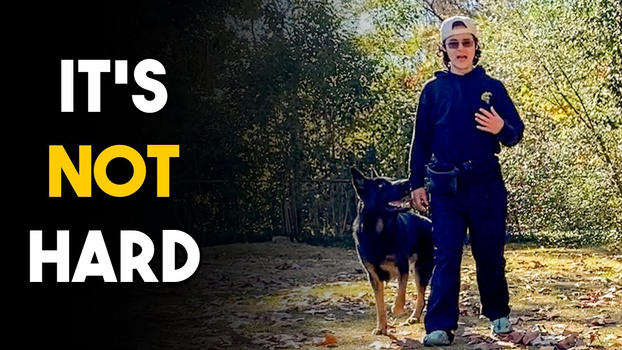 Dog Training Isn't Difficult...