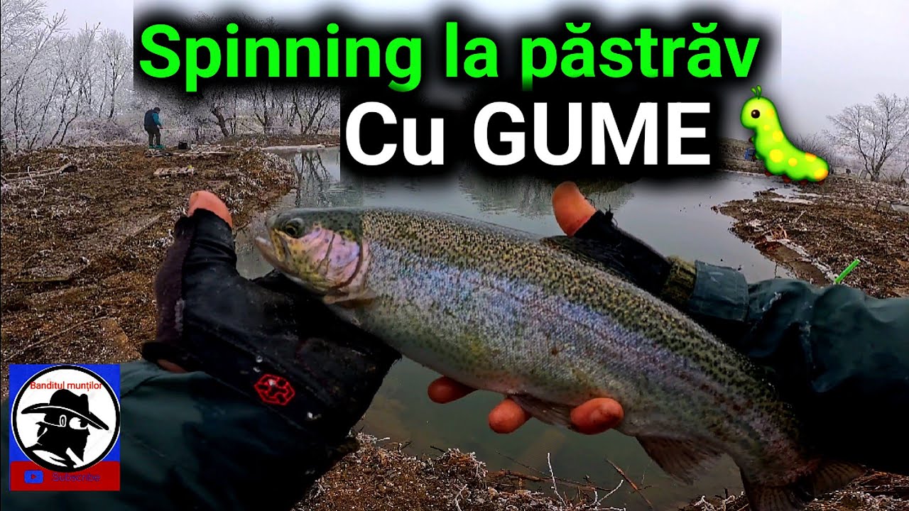 Spinning la PĂSTRĂV cu GUME 🐛 pe baltă! locație :IAZ FILEA UNU jud Cluj!