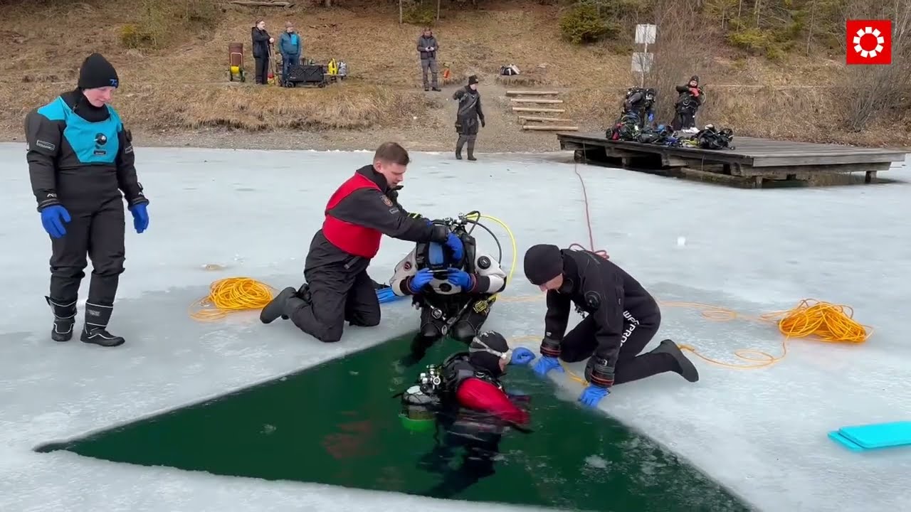 Urisee, Frauensee, Baggersee: Eistaucher lieben die Außerferner Seen
