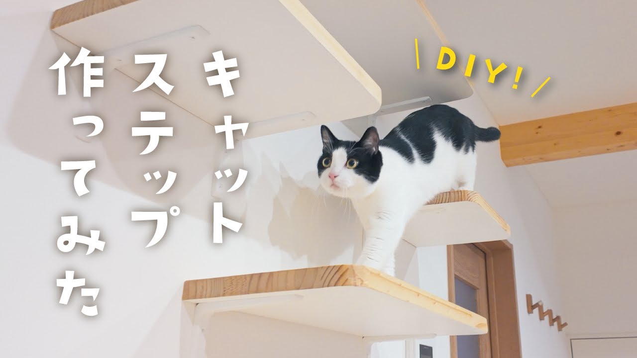【猫DIY】保護猫兄弟と暮らすリビングにキャットステップを手作りしてみた