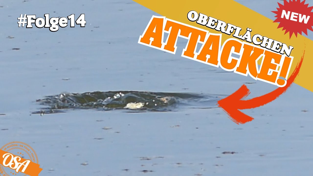Wenn das Wasser EXPLODIERT 😱! Mission Angeln an der Oberfläche!
