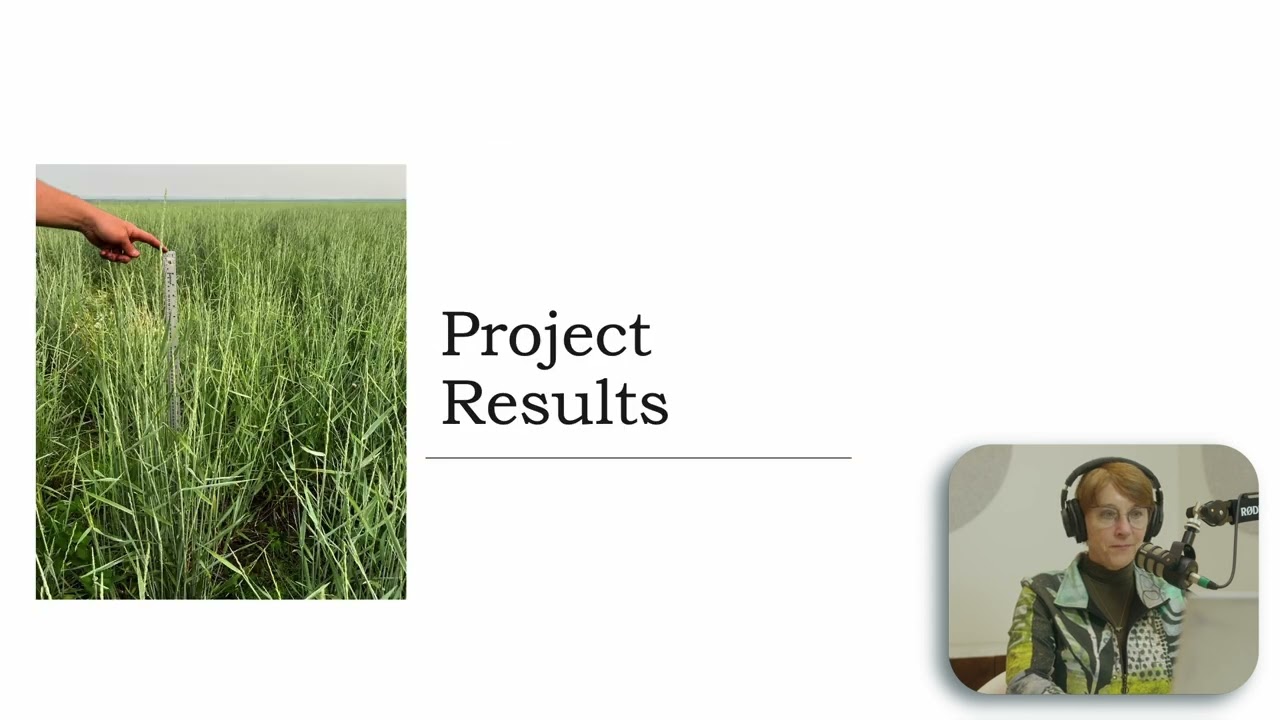 Intermediate Wheatgrass Dual-use Potential