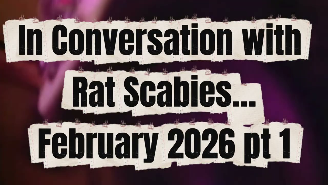 Rat Scabies in Conversation with Get me a Setlist 