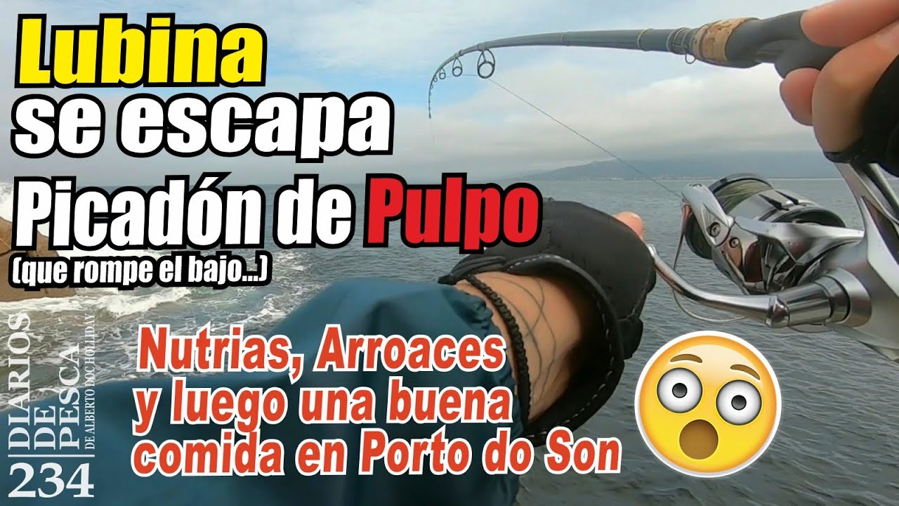 Pesca spinning: Lubina se escapa. Picadón de pulpo. Nutrias y arroaces y más cosas...