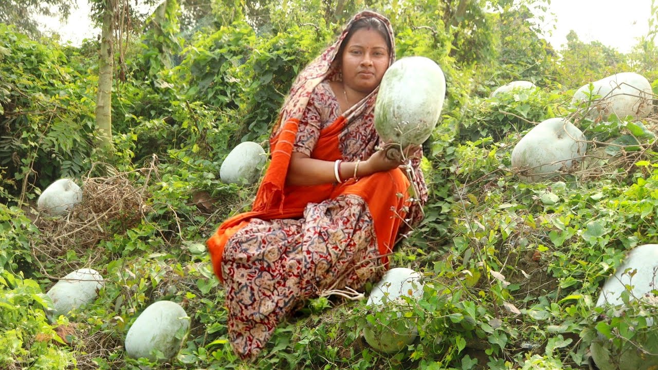 Village Food !! চাল কুমড়োর সেরা রেসিপি একবার খেলে স্বাদ ভুলতে পারবেন না || Ash Gourd Murabba Recipe