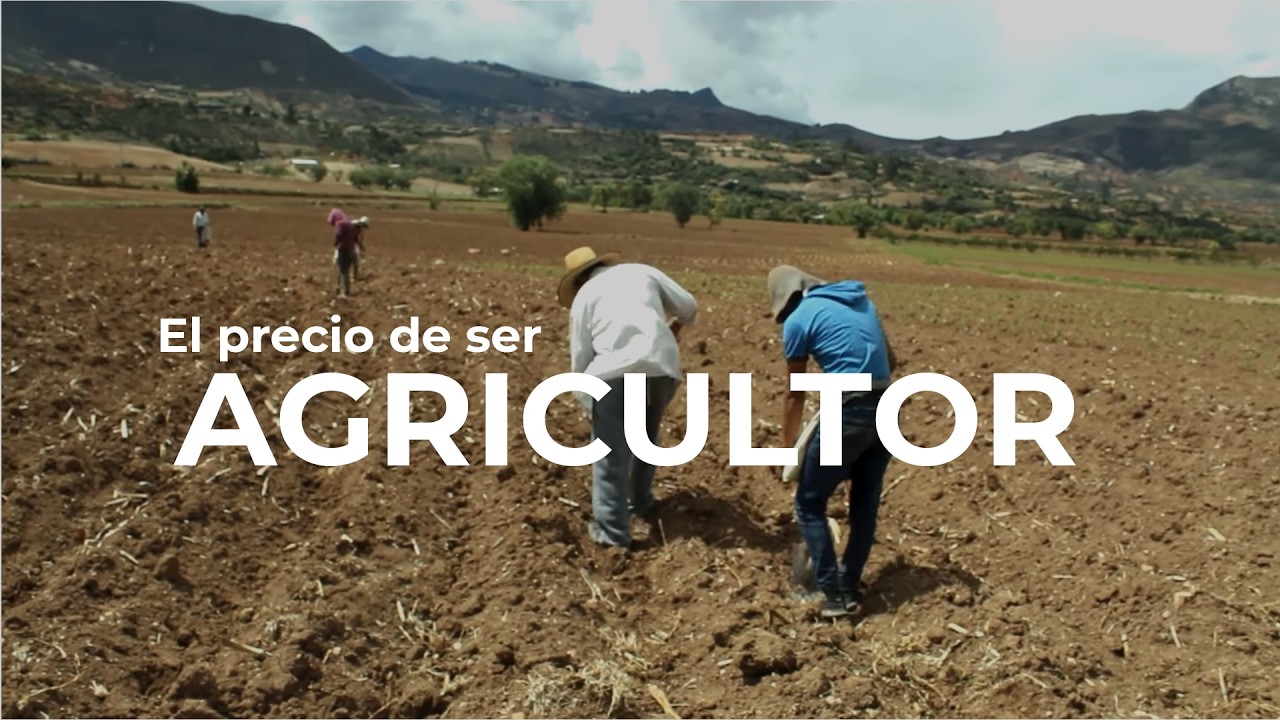 La agricultura en el PERU 2024