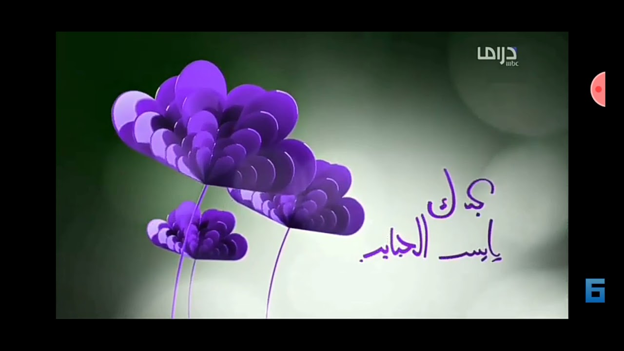 فواصل|عيد الام|جميع قنوات mbc 2021