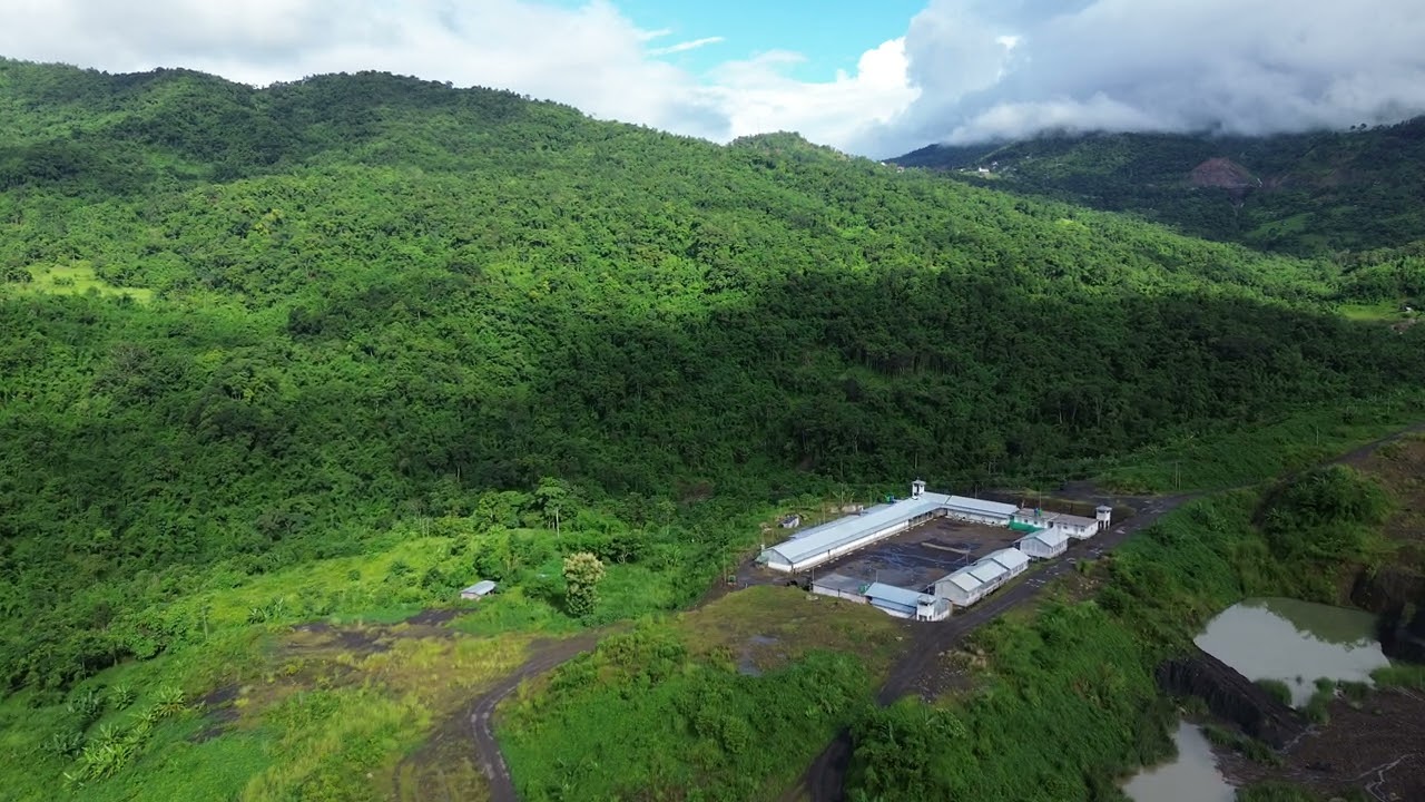 DJI 0006