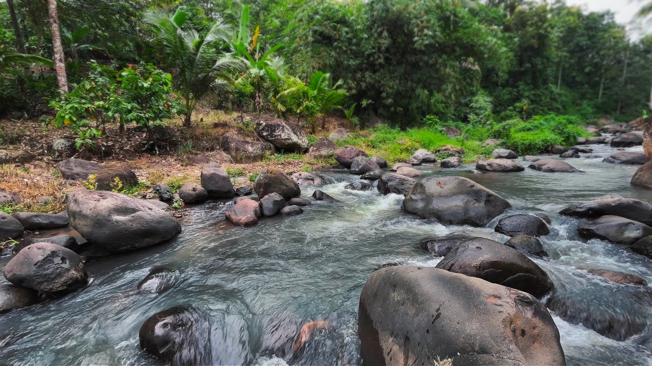 Fall into Sleep Immediately with Soothing Water Sounds in a Majestic River Flow