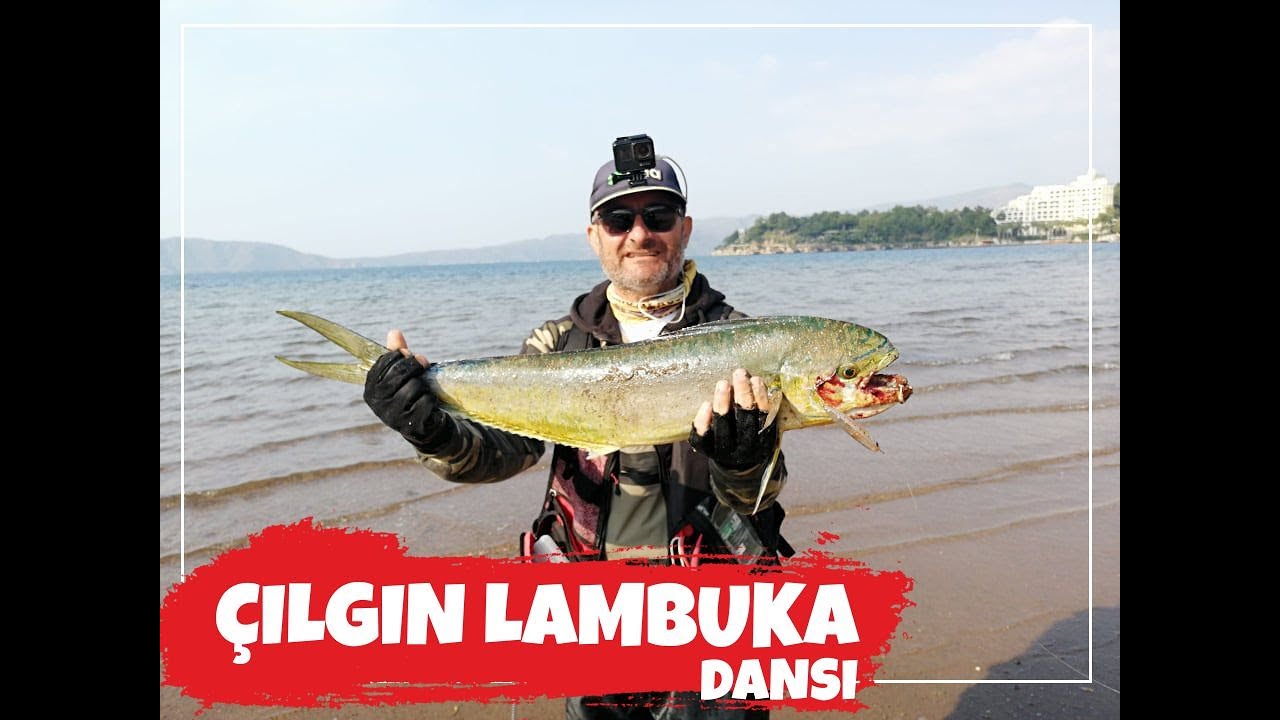 ÇILGIN LAMBUKA DANSI