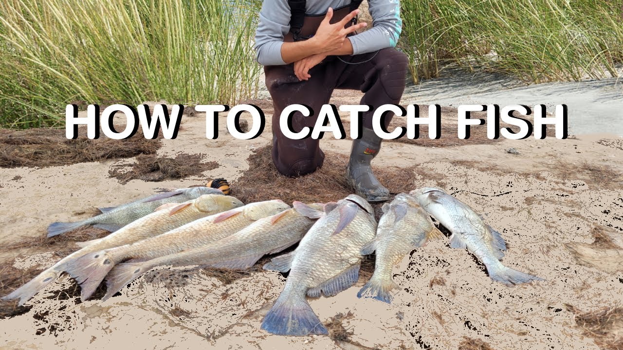 FISHING for REDFISH and BLACK DRUM (GAYMAN BRIDGE)