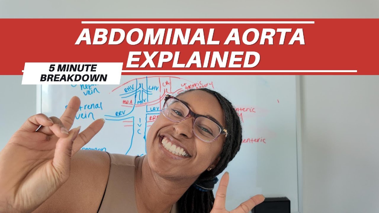 Abdominal Aorta in 5 Minutes! (Must-Know Branches for Ultrasound) #aorta #arteries