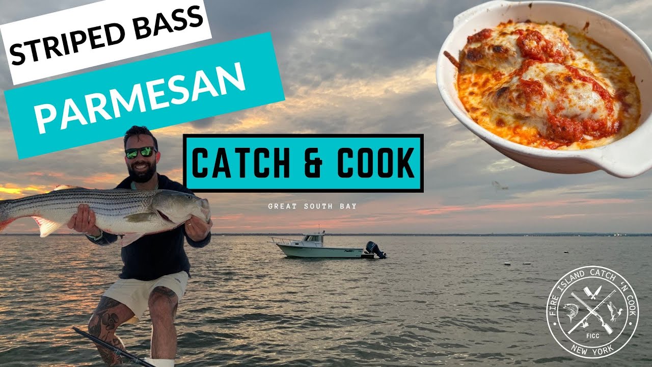 Striped Bass Fishing Catch and Cook, Striper Parmesan + Long Island Bluefish!