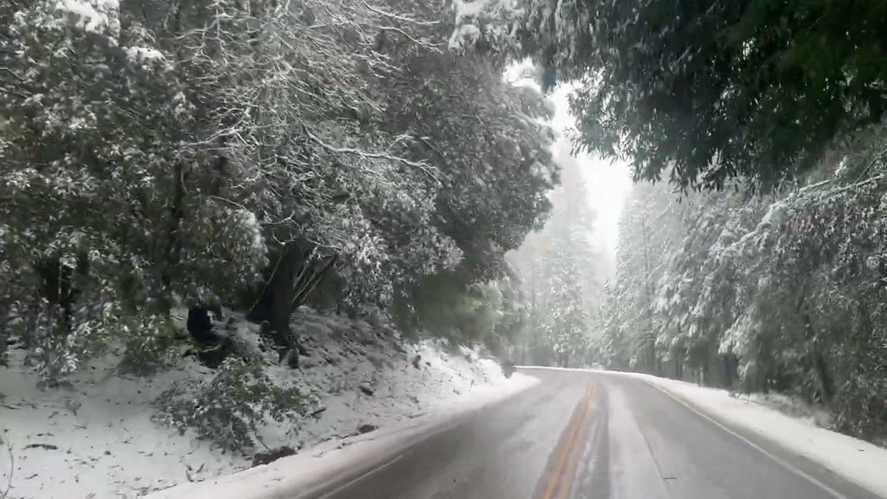 tremenda nevada