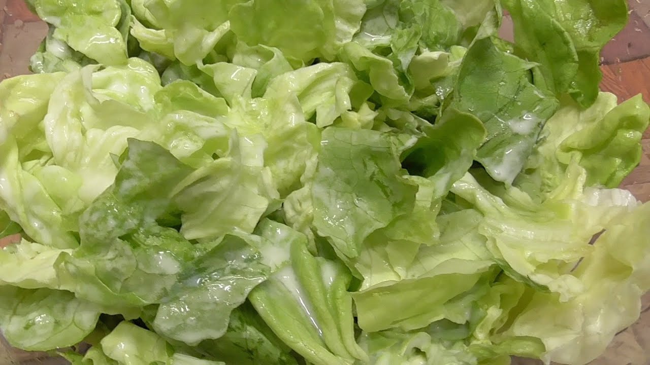 Salat mit Sahne-Sauce - nach Mama's Art