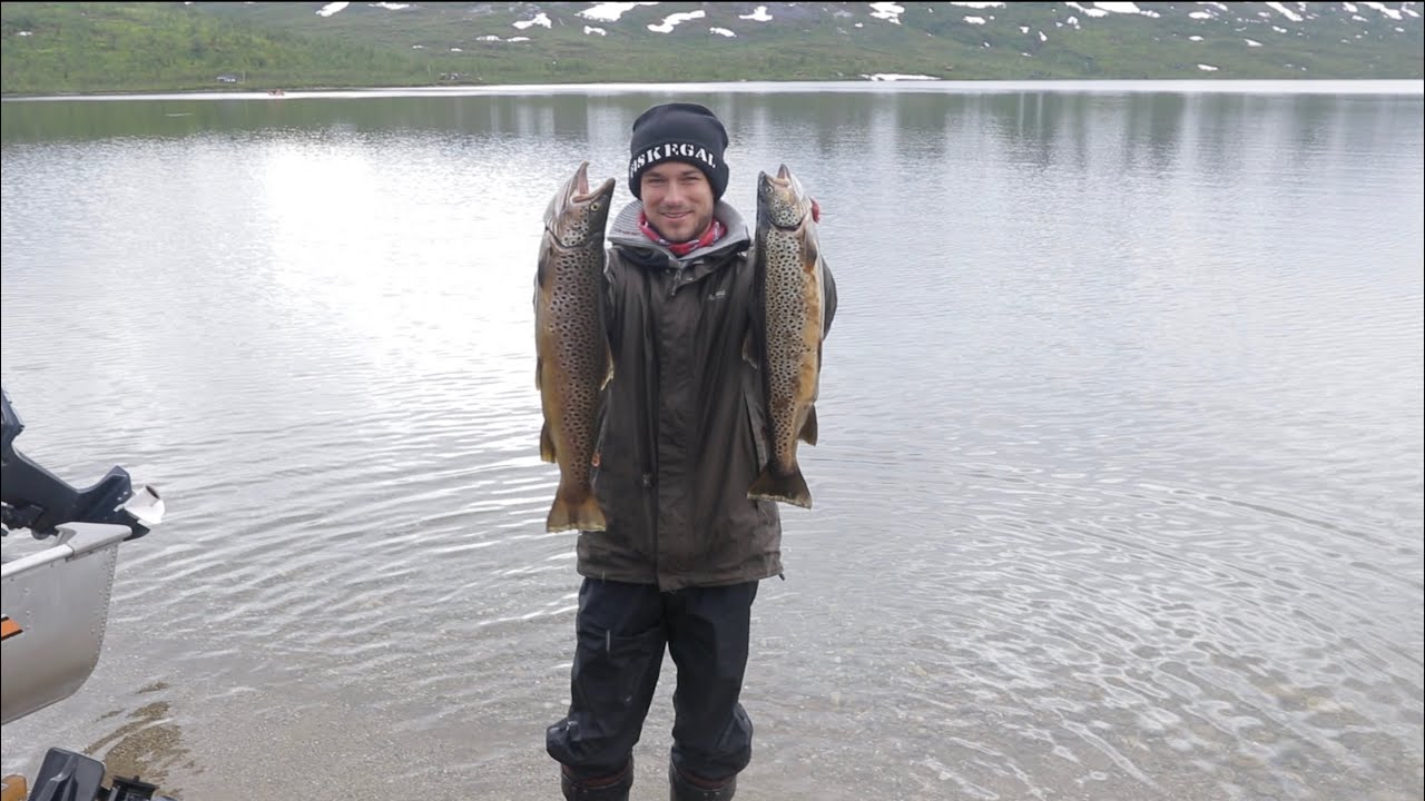 Ørretfiske - Storfisk på Sulis-Amerikaner