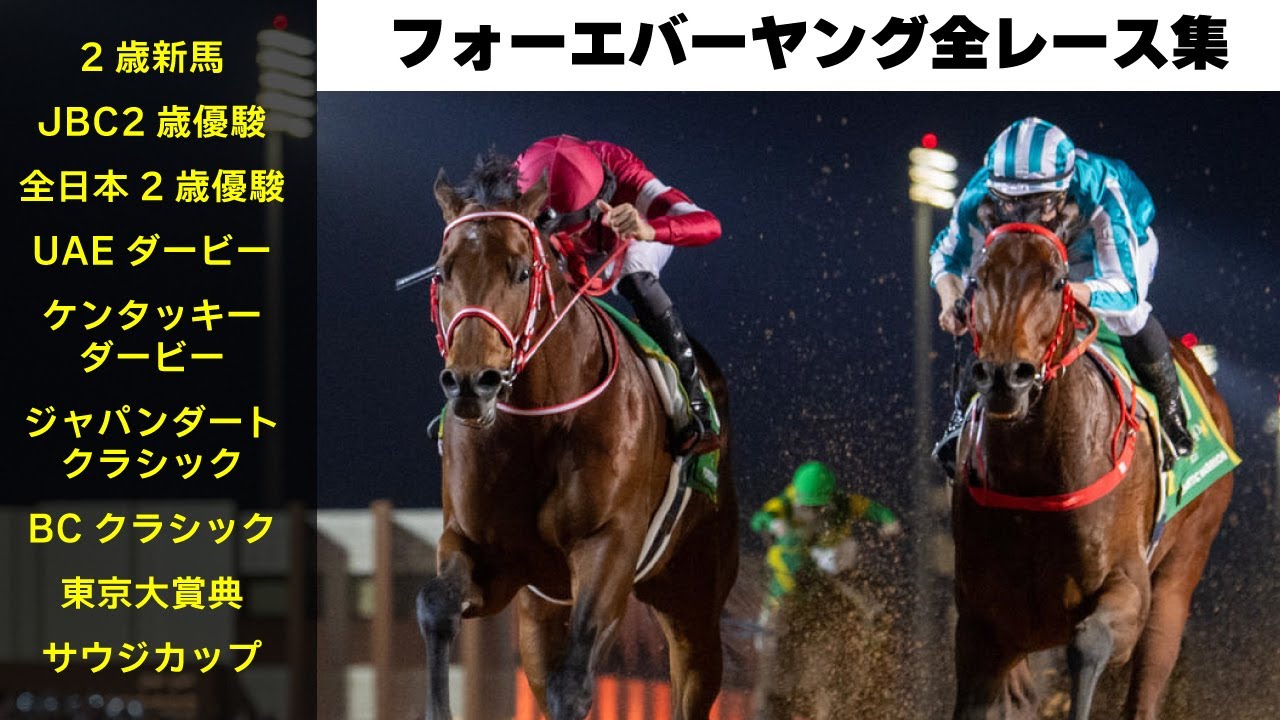 【サウジカップ優勝】フォーエバーヤング・全レース集【最新版】