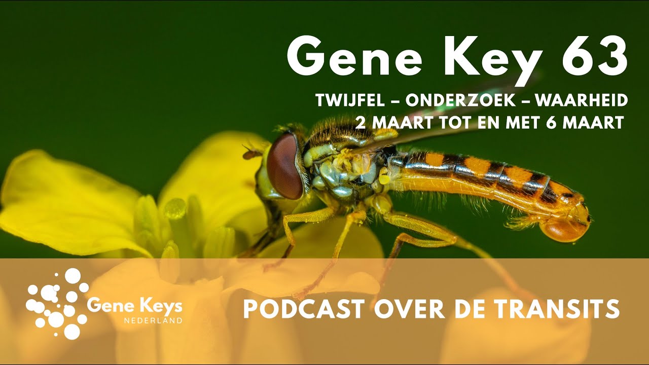 Podcast Gene Key 63