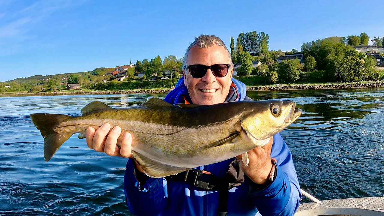 Inshore Lure Fishing For Cod & Pollock - Skarsundet Fjordsenter - Boat Fishing - Norway