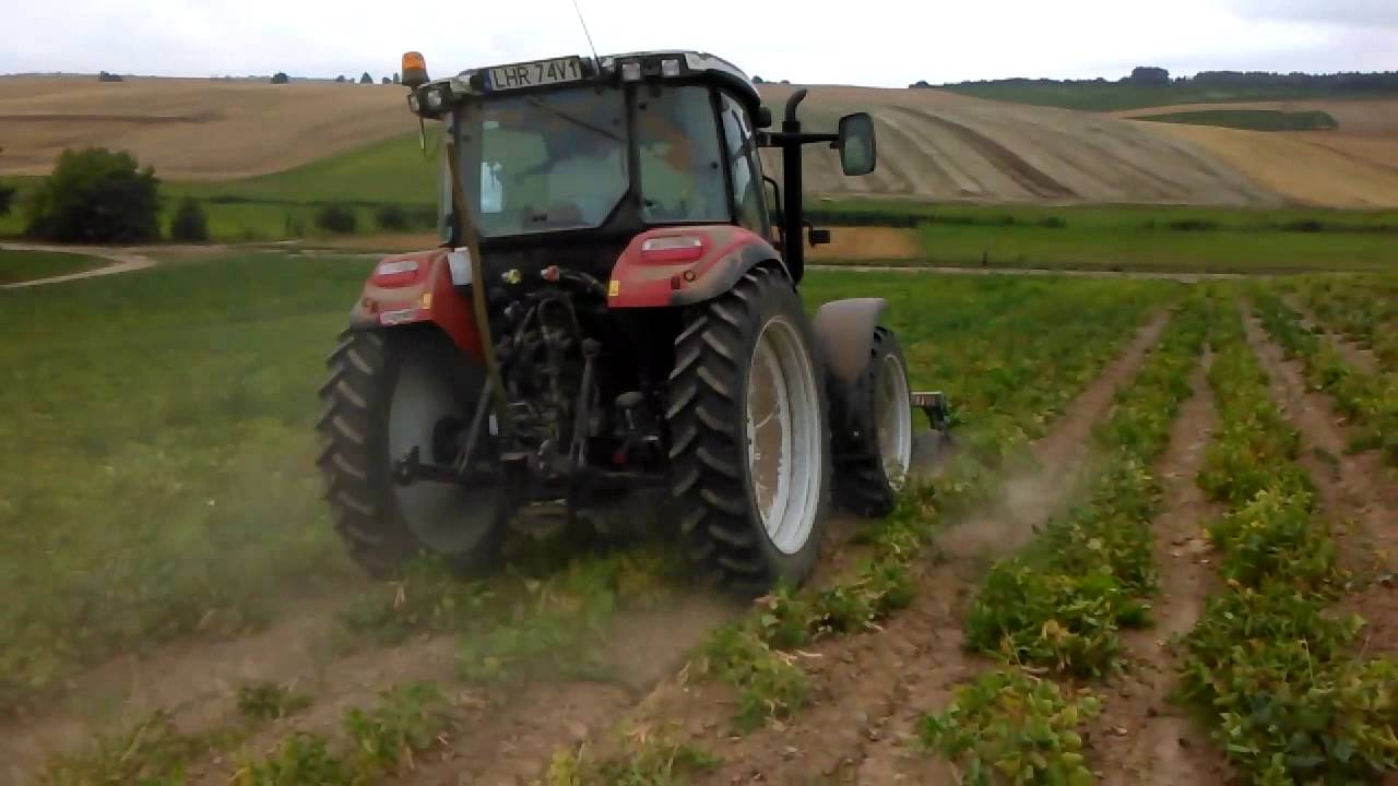 Steyr 4085 ścinanie fasoli