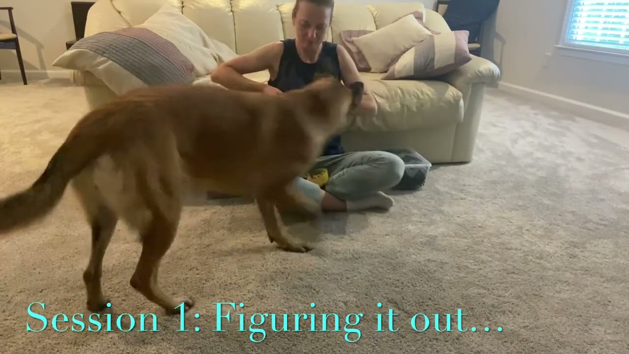 Vito&rsquo;s Thinking Game