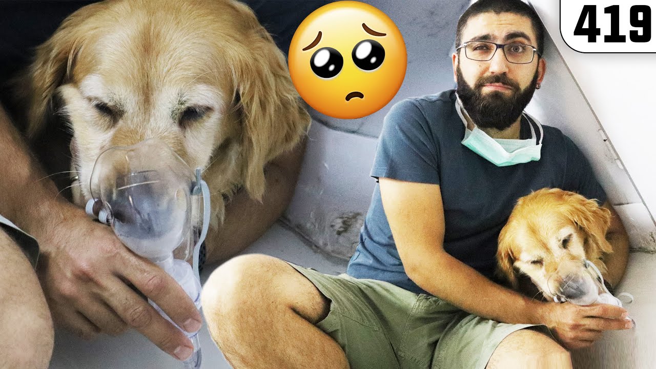 TOPRAK Nargile Gibi İlaç Aldı! (AÇIKLAMAYI OKU)