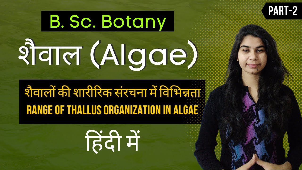 Algae in Hindi  || शैवालों की शारीरिक संरचना में विभिन्नता (Range of thallus organization in algae)