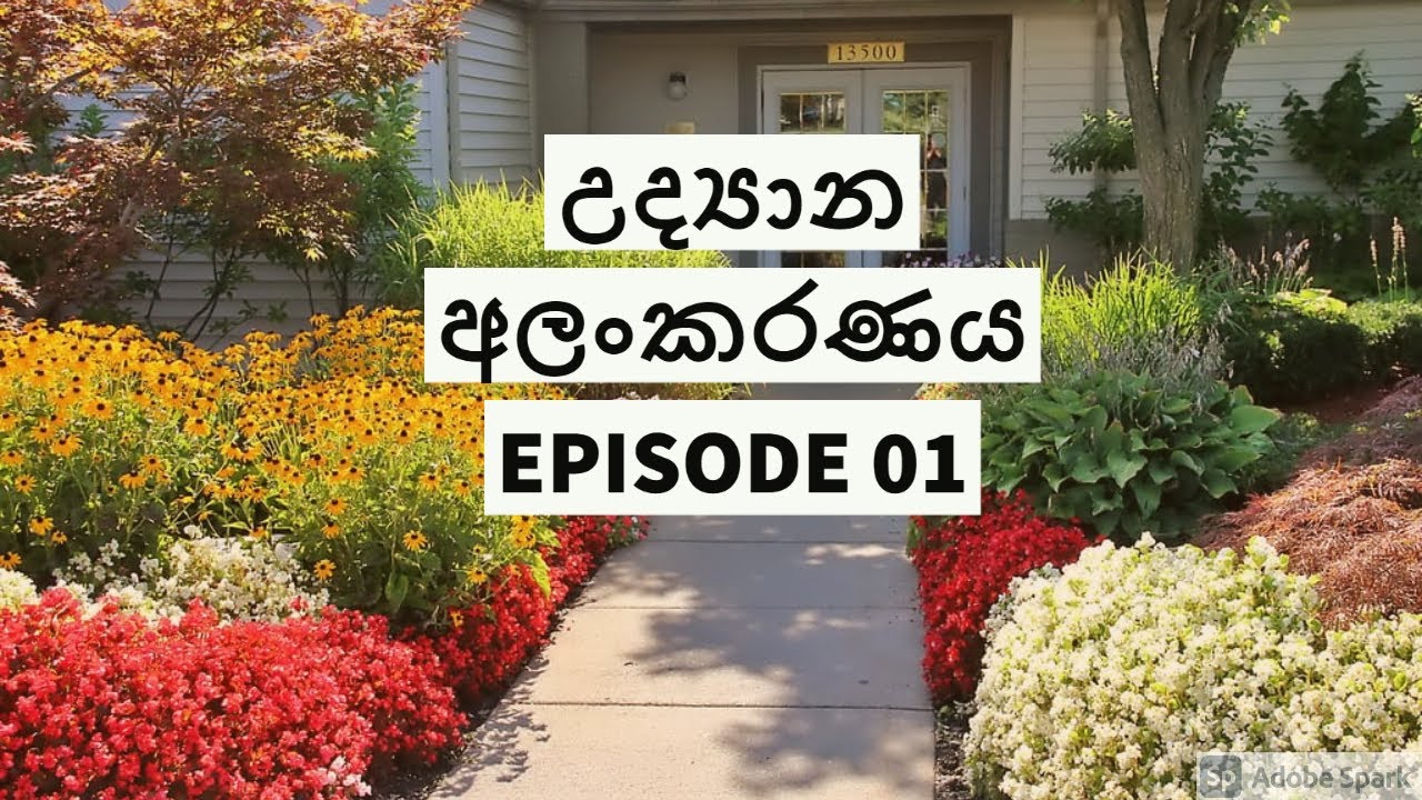 Landscaping  in sinhala උද්‍යාන අලංකරණය සිංහලෙන් සරලව ep1 green zone sl
