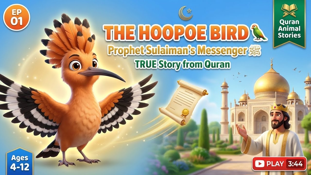 The Hoopoe Bird & Prophet Sulaiman