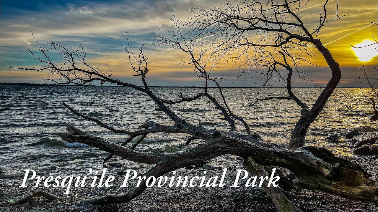 Hiking in Presqu’ile Provincial Park - Sunshine & Swans