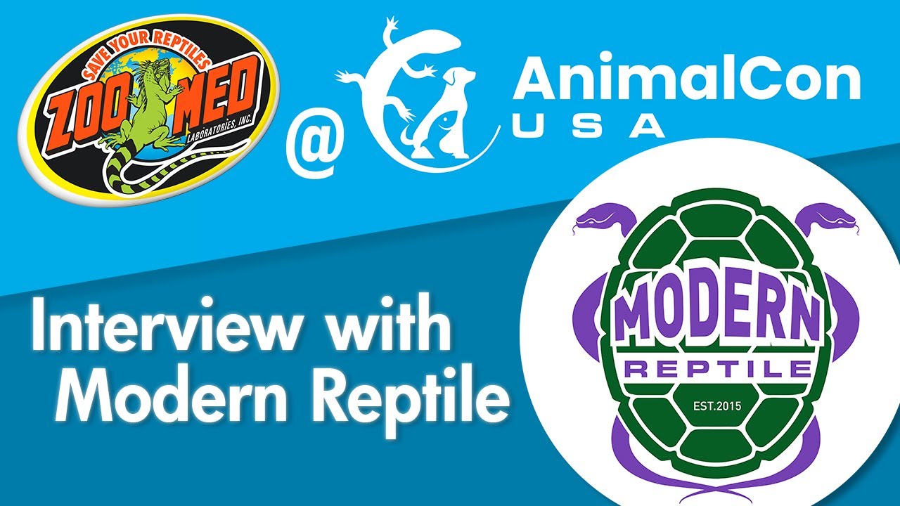 Modern Reptile Interview - AnimalCon USA 2022