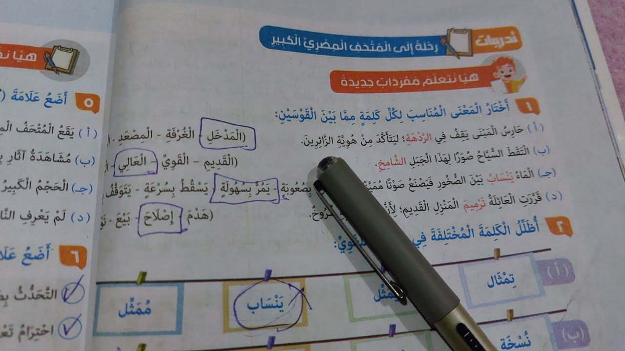 حل صفحة 12 و 13 و 14 كتاب المدرسة لغة عربية للصف السادس تدريبات درس رحلة إلى المتحف المصري الكبير 
