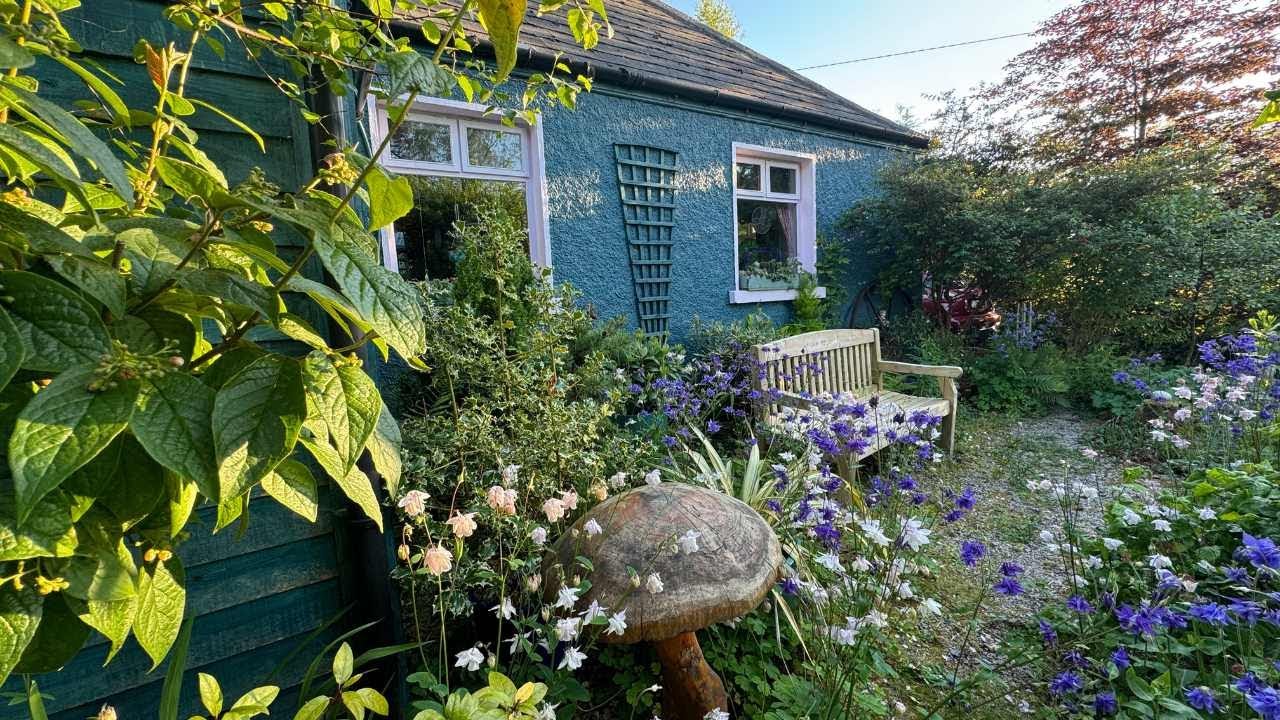 My Life-Changing Move to a Cottage and 3 Acres! The Beginning!